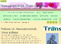 Website van Trans Esbima 
