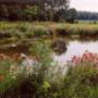 ecologisch landschap