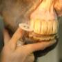 Samenwerkende Paardendierenartsen Dordrecht