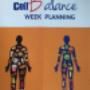 Weekplanning 28 daagse kuur
