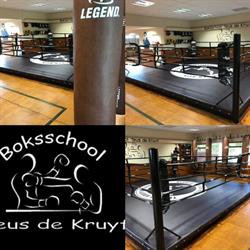 Boksschool Teus de Kruyf & Teus De Kruyf Institute