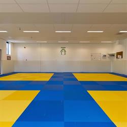 Judovereniging Hikiwake