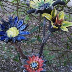 Stichting Kreatieve Kring Westervoort
