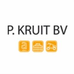 P Kruit