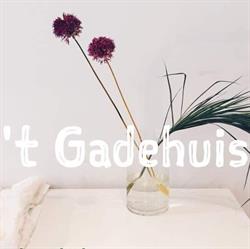 Gadehuis 't