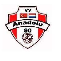 Evv Anadolu 90