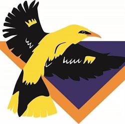 Wielewaal Scouting Groep
