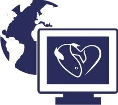 Ijmuiden Vis Online.nl