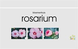 Bloemenhuis Rosarium