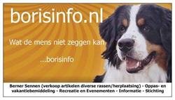 Borisinfo.nl
