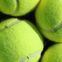 Nieuw Lekkerlandse Tennis Club Nltc