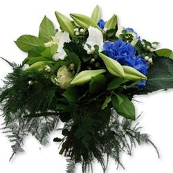 Bloemenzee Nieuw Vennep Bloemen