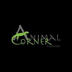 Animal Corner