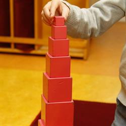 Montessorischool Rhenen