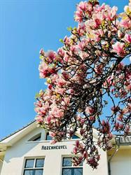 Hospice Rozenheuvel Leger Des Heils