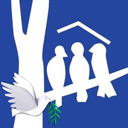 Stichting Beheer En Exploitatie In De Boomtak