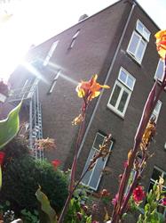 Stichting Ki Tov
