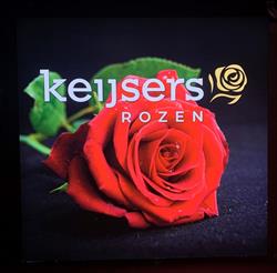 Rozenkwekerij Keijsers