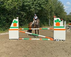 Ruitersportvereniging Scheldestad