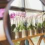 Het assortiment