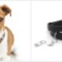 magneetsieraden voor dieren
