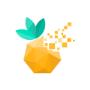 Logo Pixel Berry