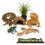 Reptielen