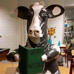 De Weide