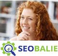 SEO website laten maken