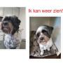 Ik kan weer zien!