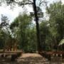 Natuurbegraafplaats