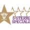 De-Specialist-Kunstgras