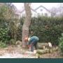 Hoveniersbedrijf De Wilde Appel