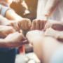 Organisatie en Teamcoaching