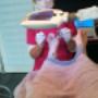 Provoet Med. Pedicure Ingrid S