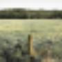Advocaten Aspremont
