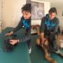 SDK Paarden Sportmassage