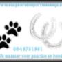 SDK Paarden Sportmassage