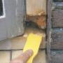 La Brosse Kruizinga