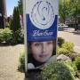 Blue Swan Health & Welness