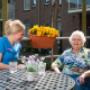 Eilandzorg Schouwen-Duiveland: wijkverpleging | thuiszorg