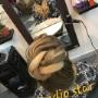 Hairstudio Star