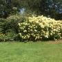 Tuin inkijkje