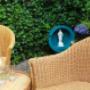 eigen terras BnB