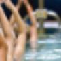 Bosdries Sporthal De