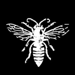Black Bee Productions