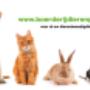 Boerderijdierenplezier