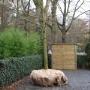 Groenvoorziening W Rijksen