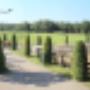 Paardenartsen Brabant