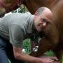 Paardenartsen Brabant